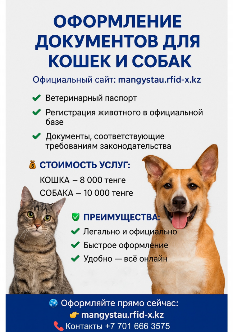 Интернет знакомства без регистрации бесплатно