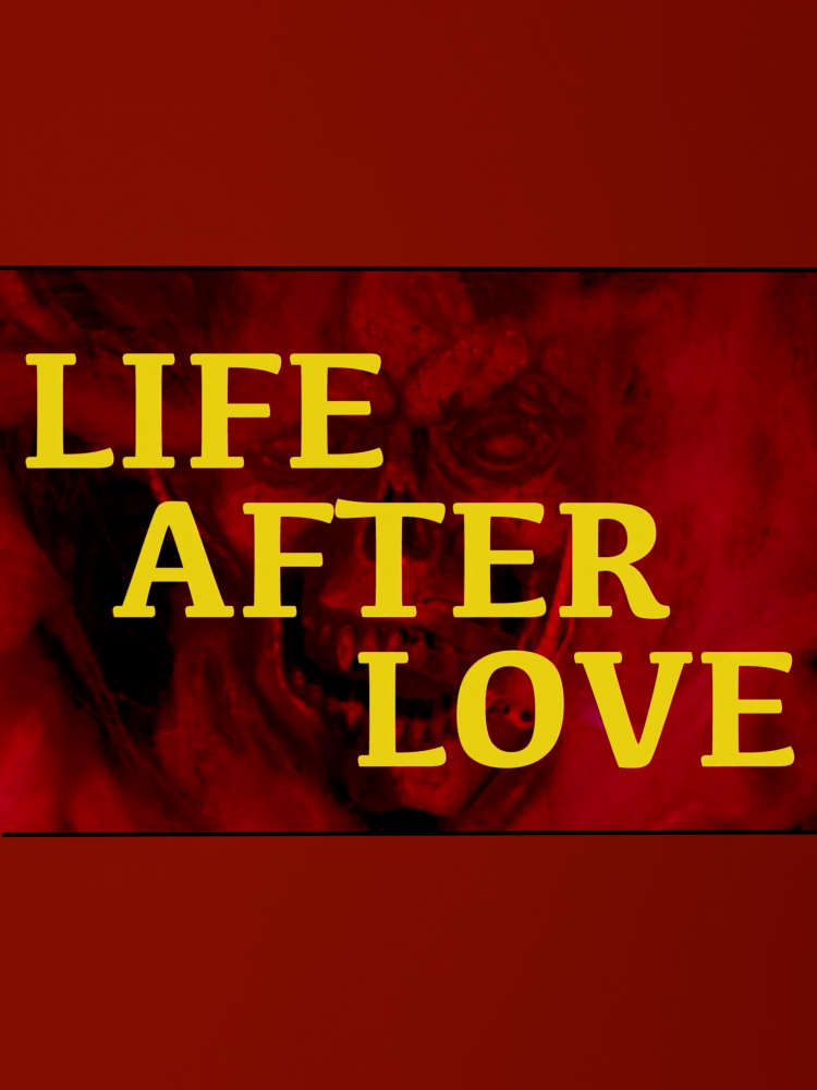 Life after love