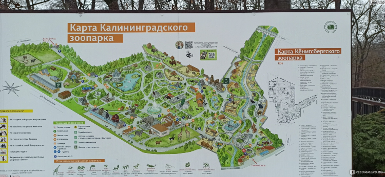 Сайт знакомств калининград бесплатно