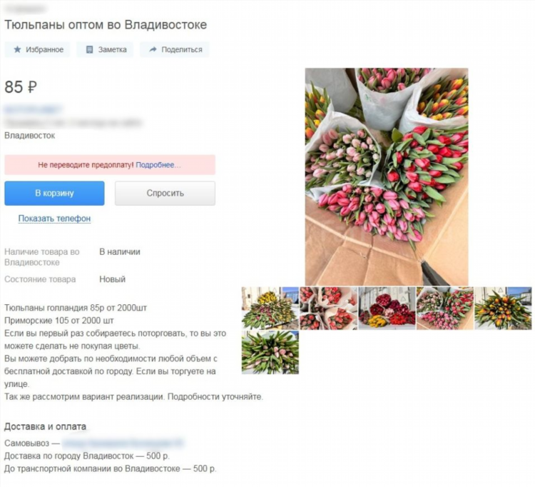 Сайты знакомств владивосток популярные